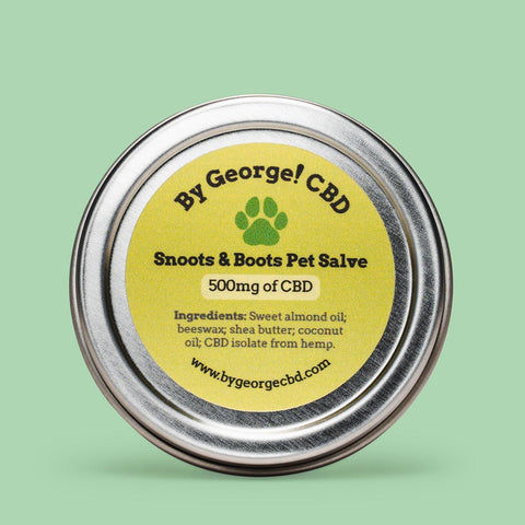 Snoots & Boots Pet Salve with 500mg of CBD