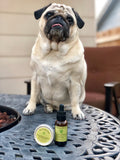 Snoots & Boots Pet Salve with 250mg of CBD